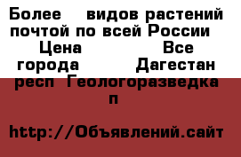 Более200 видов растений почтой по всей России › Цена ­ 100-500 - Все города  »    . Дагестан респ.,Геологоразведка п.